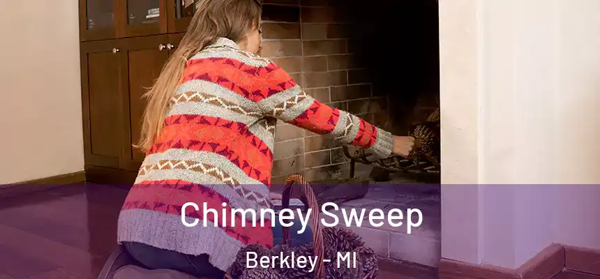  Chimney Sweep Berkley - MI