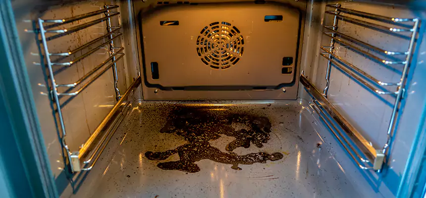 Our Air Purifier Installation Services in Berkley, MI