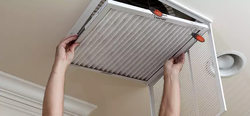 Our Insect Removal from Air Ducts Services in Berkley, MI