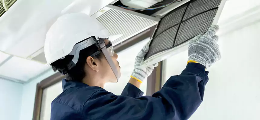 Our Mold & Mildew Removal from Air Ducts Services in Berkley, MI