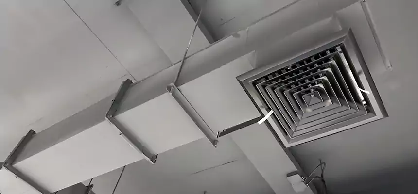 Our Rodent Droppings In Vents Services in Berkley, MI