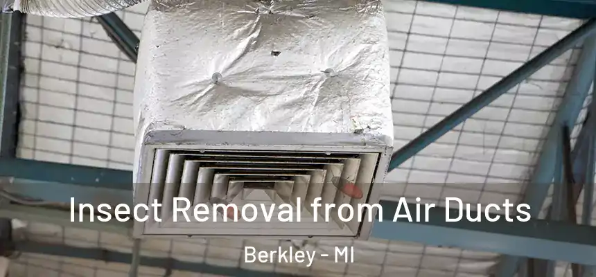  Insect Removal from Air Ducts Berkley - MI