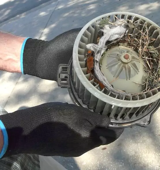 About Air Duct Mice Removal in Berkley, MI