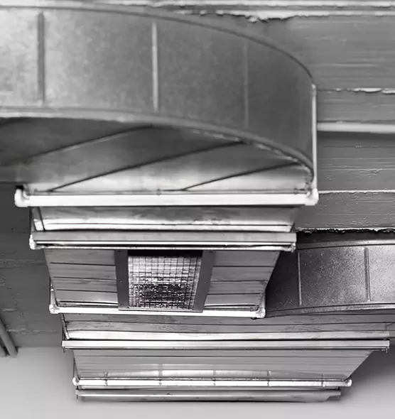 Professional Air Duct Pet Hair Removal in Berkley, MI