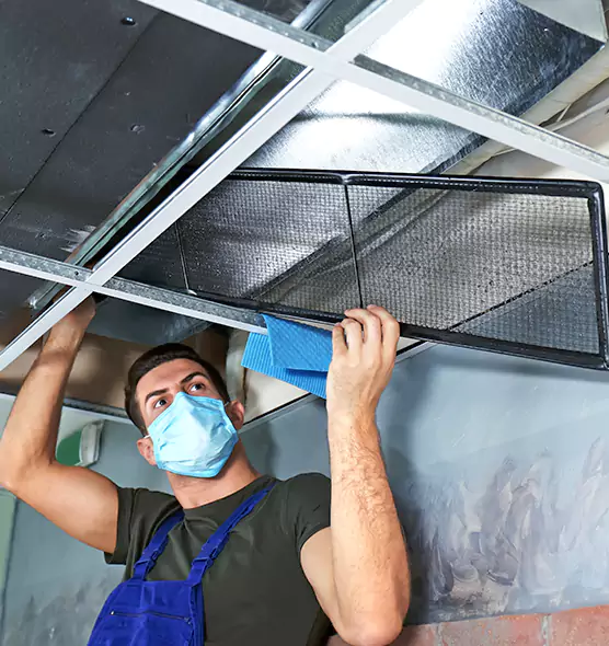 Professional Air Duct Pollen Cleaning in Berkley, MI