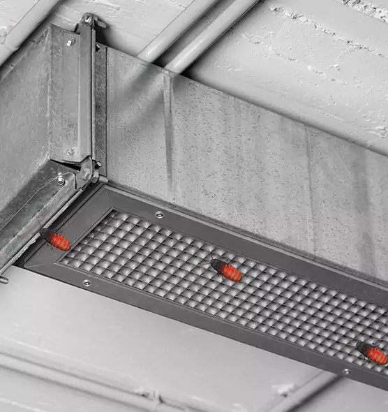 Affordable Insect Removal from Air Ducts in Berkley, MI