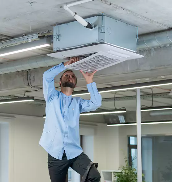 Advanced Rodent Droppings In Vents in Berkley, MI