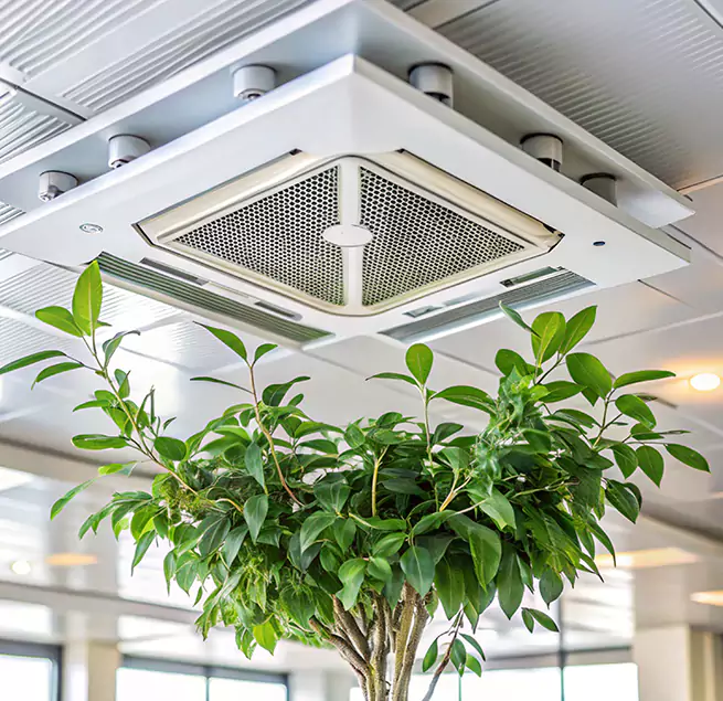 Why Homeowners & Businesses Trust Us in Berkley, MI?