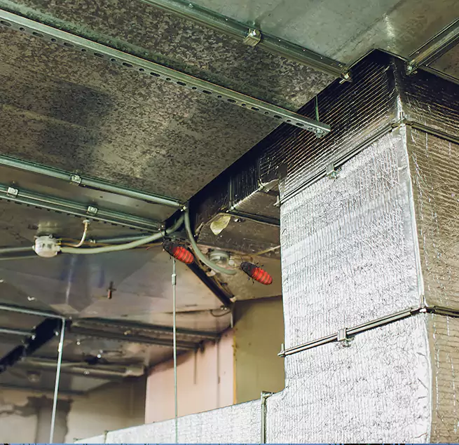 Why Homeowners & Businesses Trust Us Berkley, MI?